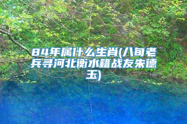 84年属什么生肖(八旬老兵寻河北衡水籍战友朱德玉)