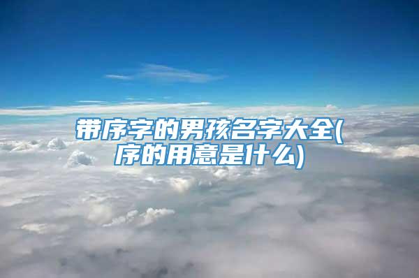 带序字的男孩名字大全(序的用意是什么)