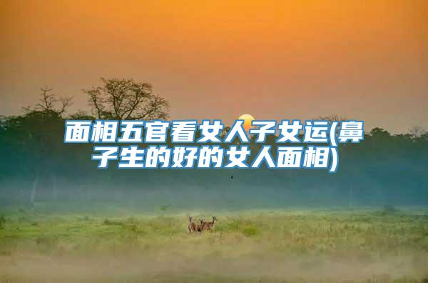 面相五官看女人子女运(鼻子生的好的女人面相)