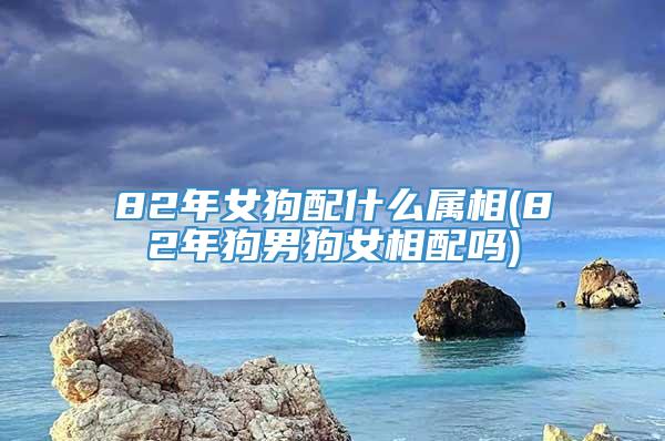 82年女狗配什么属相(82年狗男狗女相配吗)
