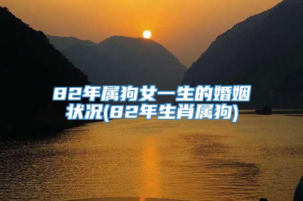 82年属狗女一生的婚姻状况(82年生肖属狗)