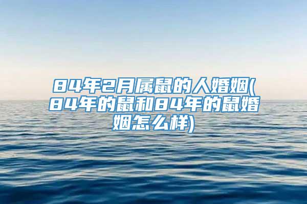 84年2月属鼠的人婚姻(84年的鼠和84年的鼠婚姻怎么样)