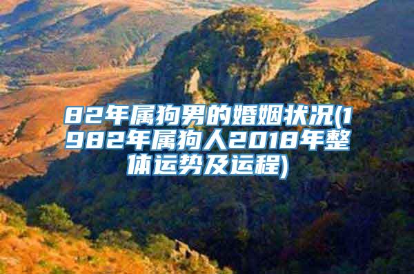 82年属狗男的婚姻状况(1982年属狗人2018年整体运势及运程)