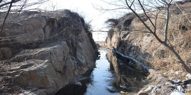 树生风水宝地――东山张