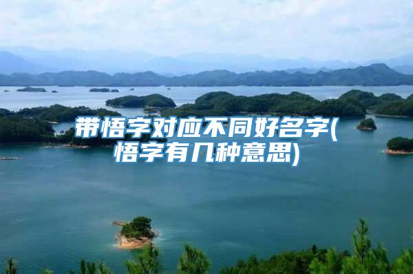 带悟字对应不同好名字(悟字有几种意思)