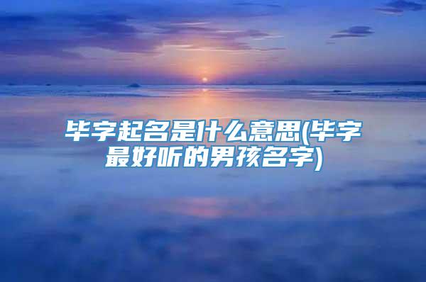毕字起名是什么意思(毕字最好听的男孩名字)