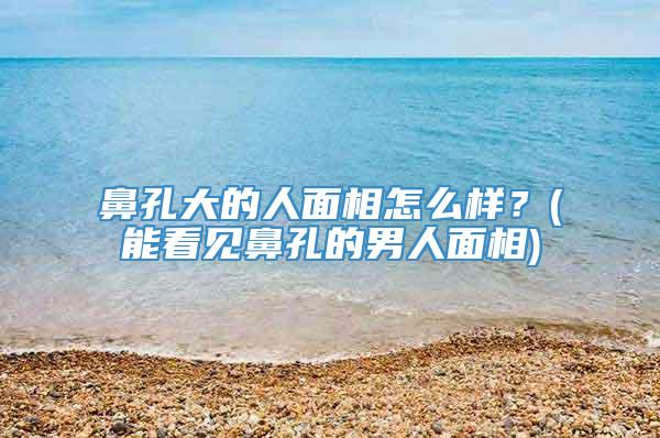 鼻孔大的人面相怎么样？(能看见鼻孔的男人面相)