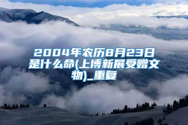 2004年农历8月23日是什么命(上博新展受赠文物)_重复