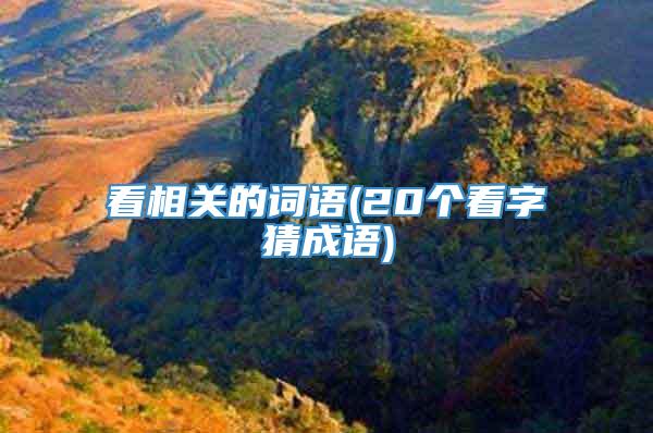 看相关的词语(20个看字猜成语)