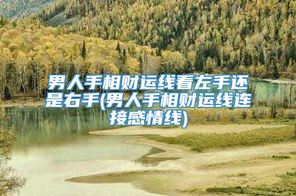男人手相财运线看左手还是右手(男人手相财运线连接感情线)