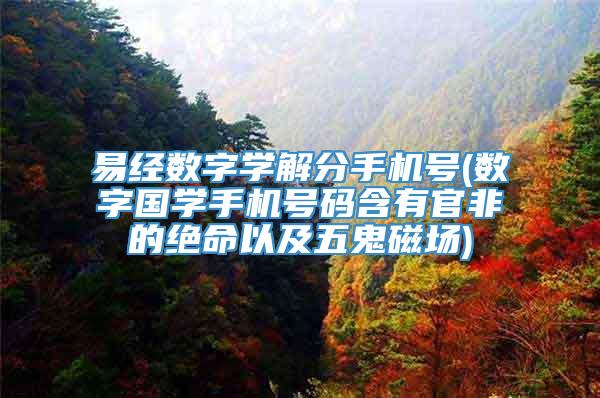 易经数字学解分手机号(数字国学手机号码含有官非的绝命以及五鬼磁场)