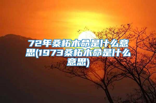 72年桑柘木命是什么意思(1973桑柘木命是什么意思)