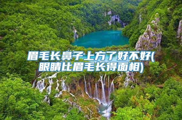 眉毛长鼻子上方了好不好(眼睛比眉毛长得面相)