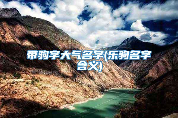 带驹字大气名字(乐驹名字含义)