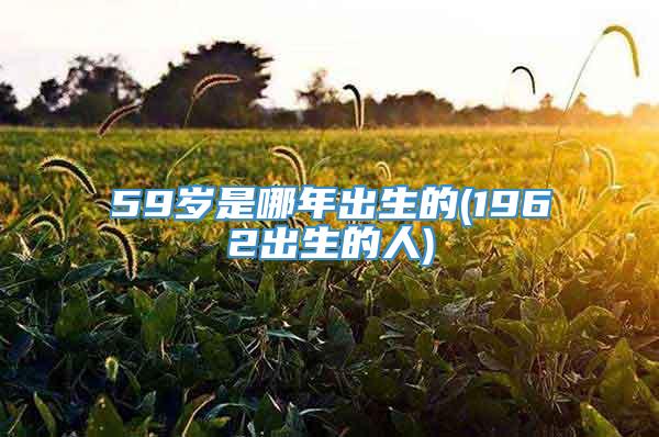 59岁是哪年出生的(1962出生的人)