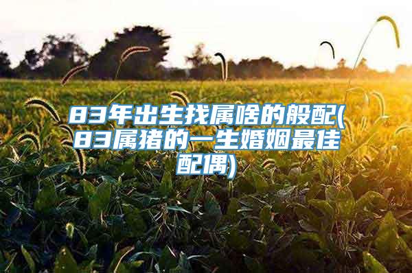83年出生找属啥的般配(83属猪的一生婚姻最佳配偶)