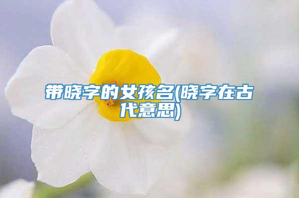 带晓字的女孩名(晓字在古代意思)