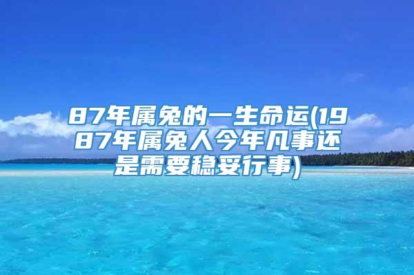 87年属兔的一生命运(1987年属兔人今年凡事还是需要稳妥行事)