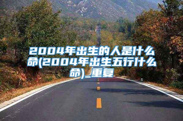 2004年出生的人是什么命(2004年出生五行什么命)_重复
