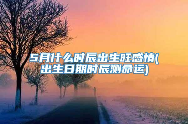 5月什么时辰出生旺感情(出生日期时辰测命运)