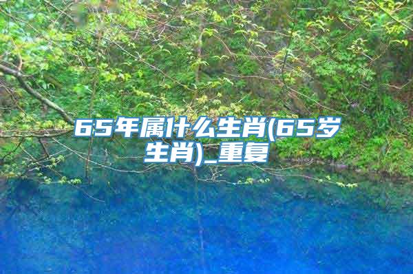 65年属什么生肖(65岁生肖)_重复