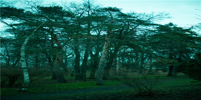 盘点十二生肖最不能接受的伤害星座