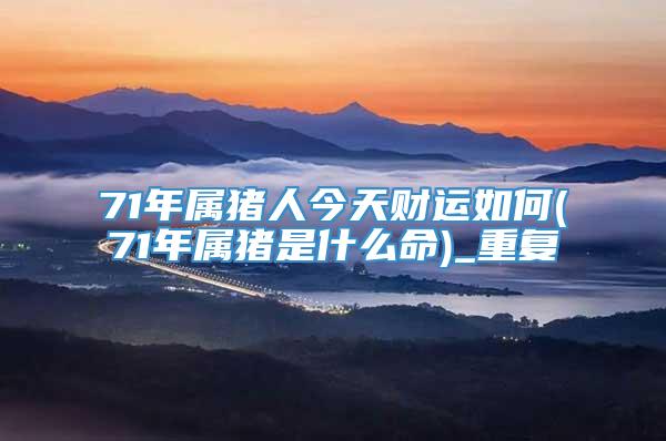 71年属猪人今天财运如何(71年属猪是什么命)_重复