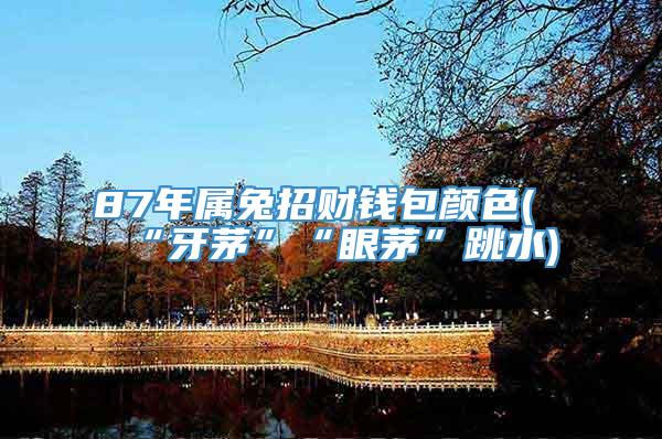 87年属兔招财钱包颜色(“牙茅”“眼茅”跳水)