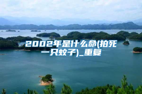 2002年是什么命(拍死一只蚊子)_重复