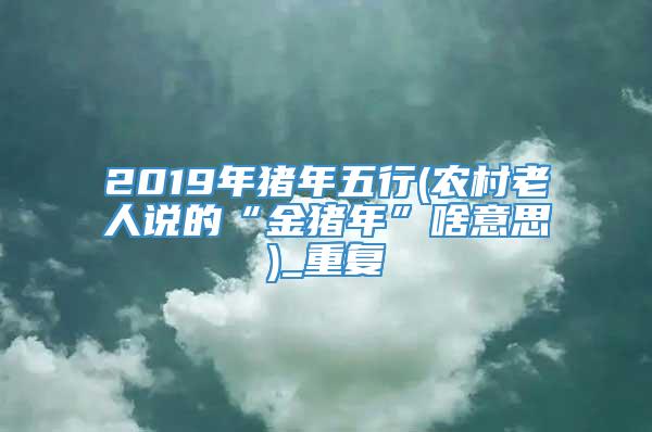 2019年猪年五行(农村老人说的“金猪年”啥意思)_重复