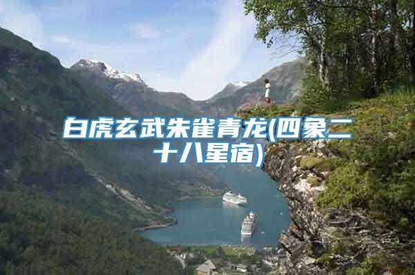 白虎玄武朱雀青龙(四象二十八星宿)