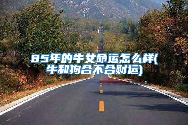85年的牛女命运怎么样(牛和狗合不合财运)