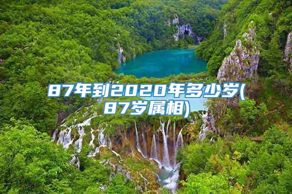 87年到2020年多少岁(87岁属相)