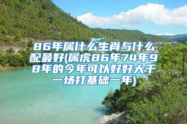 86年属什么生肖与什么配最好(属虎86年74年98年的今年可以好好大干一场打基础一年)