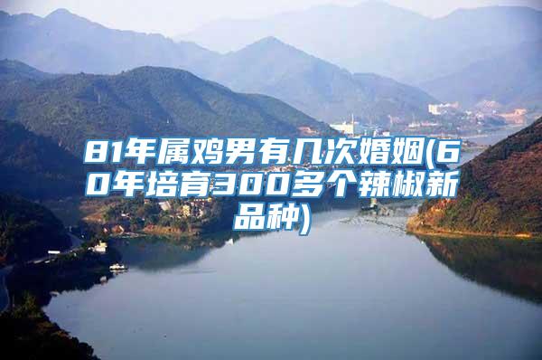 81年属鸡男有几次婚姻(60年培育300多个辣椒新品种)