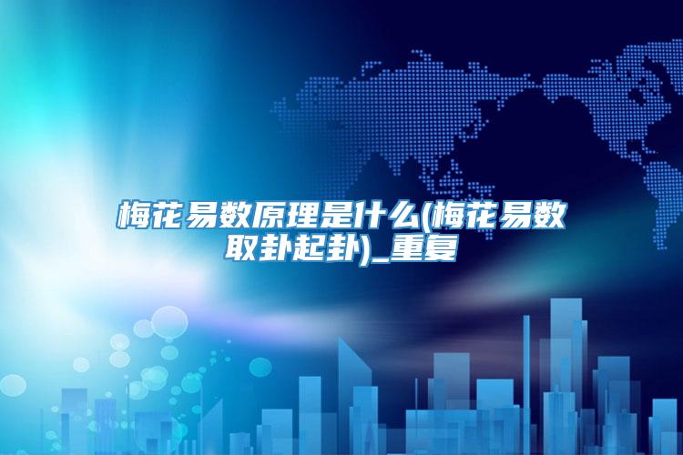 梅花易数原理是什么(梅花易数取卦起卦)_重复