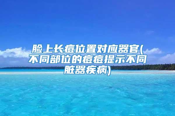 脸上长痘位置对应器官(不同部位的痘痘提示不同脏器疾病)