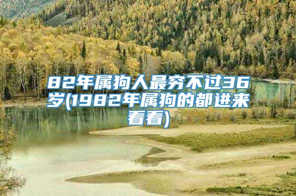 82年属狗人最穷不过36岁(1982年属狗的都进来看看)