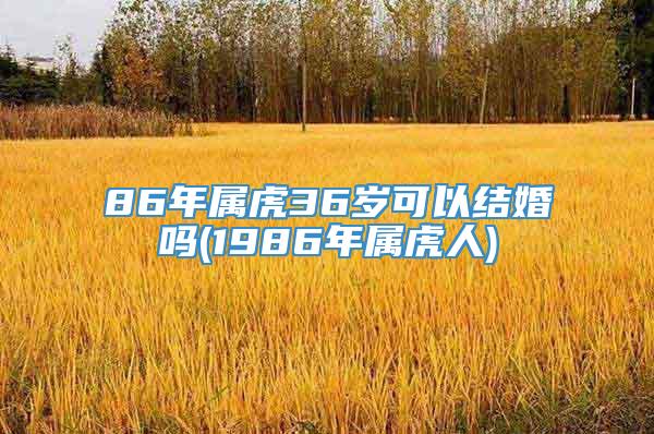 86年属虎36岁可以结婚吗(1986年属虎人)
