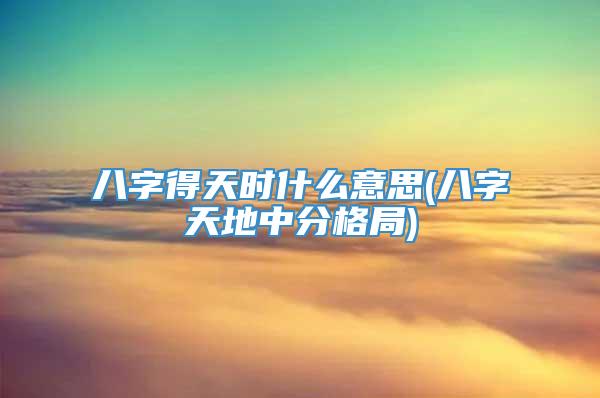 八字得天时什么意思(八字天地中分格局)