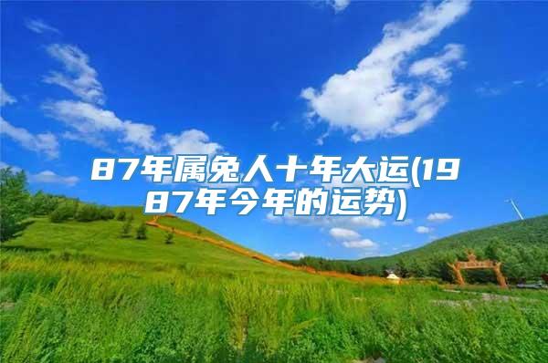 87年属兔人十年大运(1987年今年的运势)