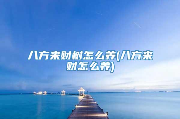 八方来财树怎么养(八方来财怎么养)