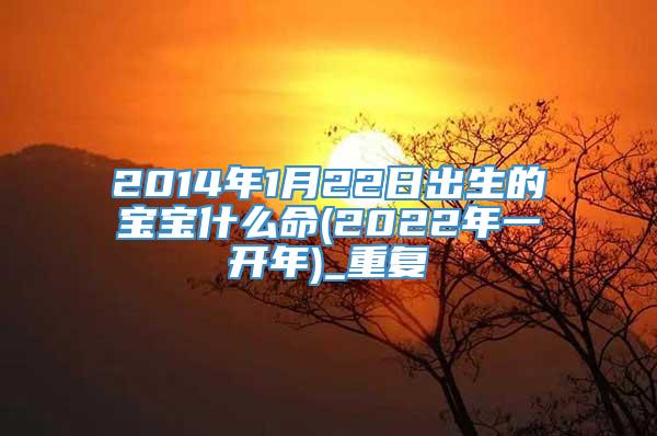 2014年1月22日出生的宝宝什么命(2022年一开年)_重复