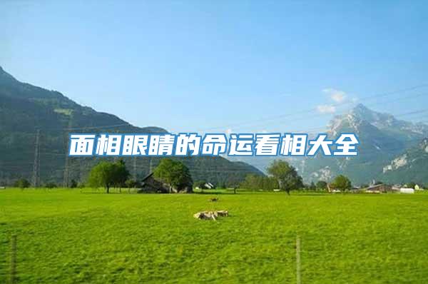 面相眼睛的命运看相大全