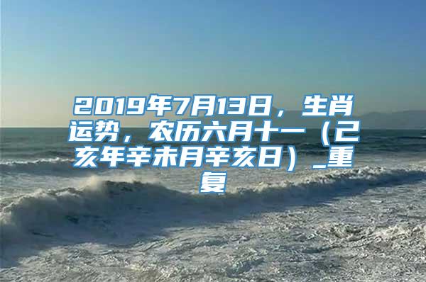 2019年7月13日，生肖运势，农历六月十一（己亥年辛未月辛亥日）_重复