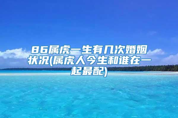 86属虎一生有几次婚姻状况(属虎人今生和谁在一起最配)