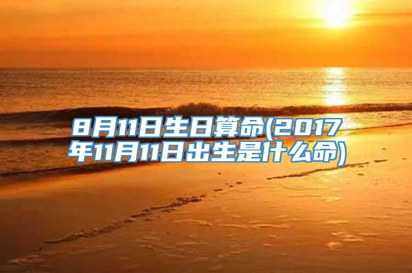 8月11日生日算命(2017年11月11日出生是什么命)