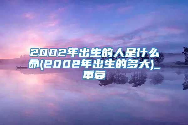 2002年出生的人是什么命(2002年出生的多大)_重复