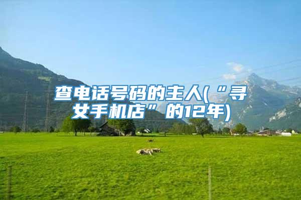 查电话号码的主人(“寻女手机店”的12年)