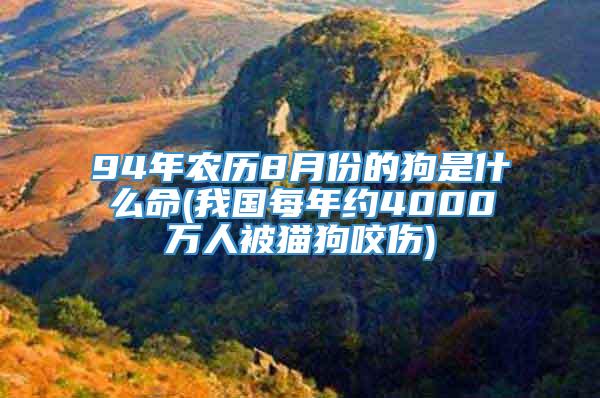 94年农历8月份的狗是什么命(我国每年约4000万人被猫狗咬伤)